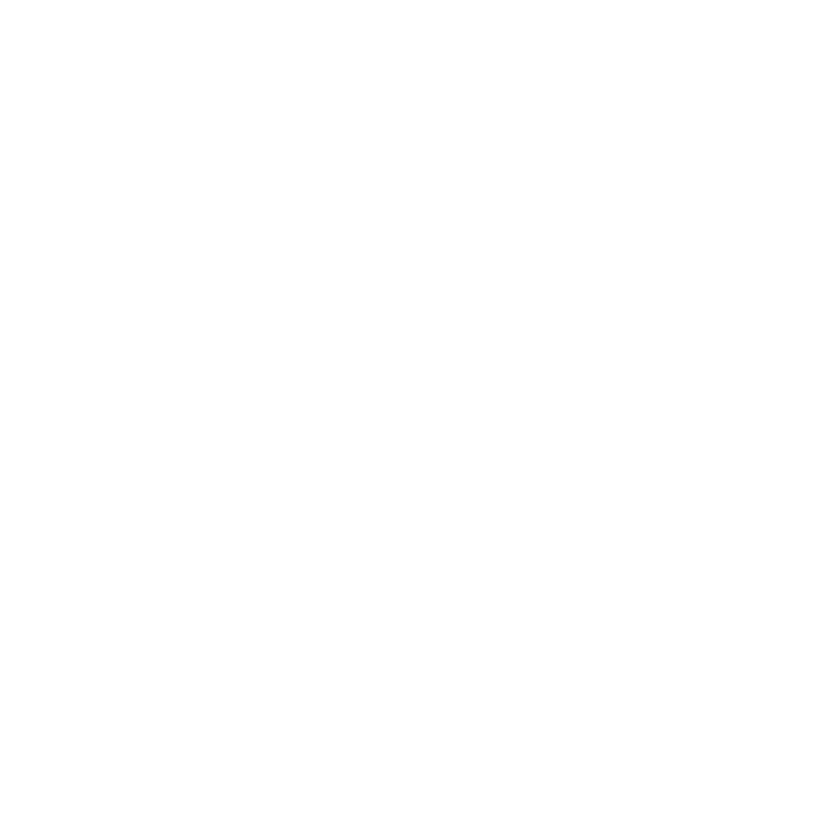 NHL - white logo